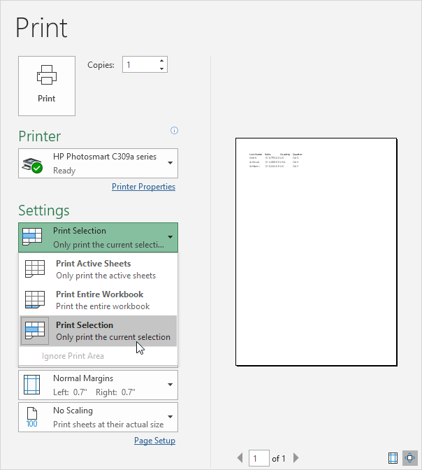 excel print selection page